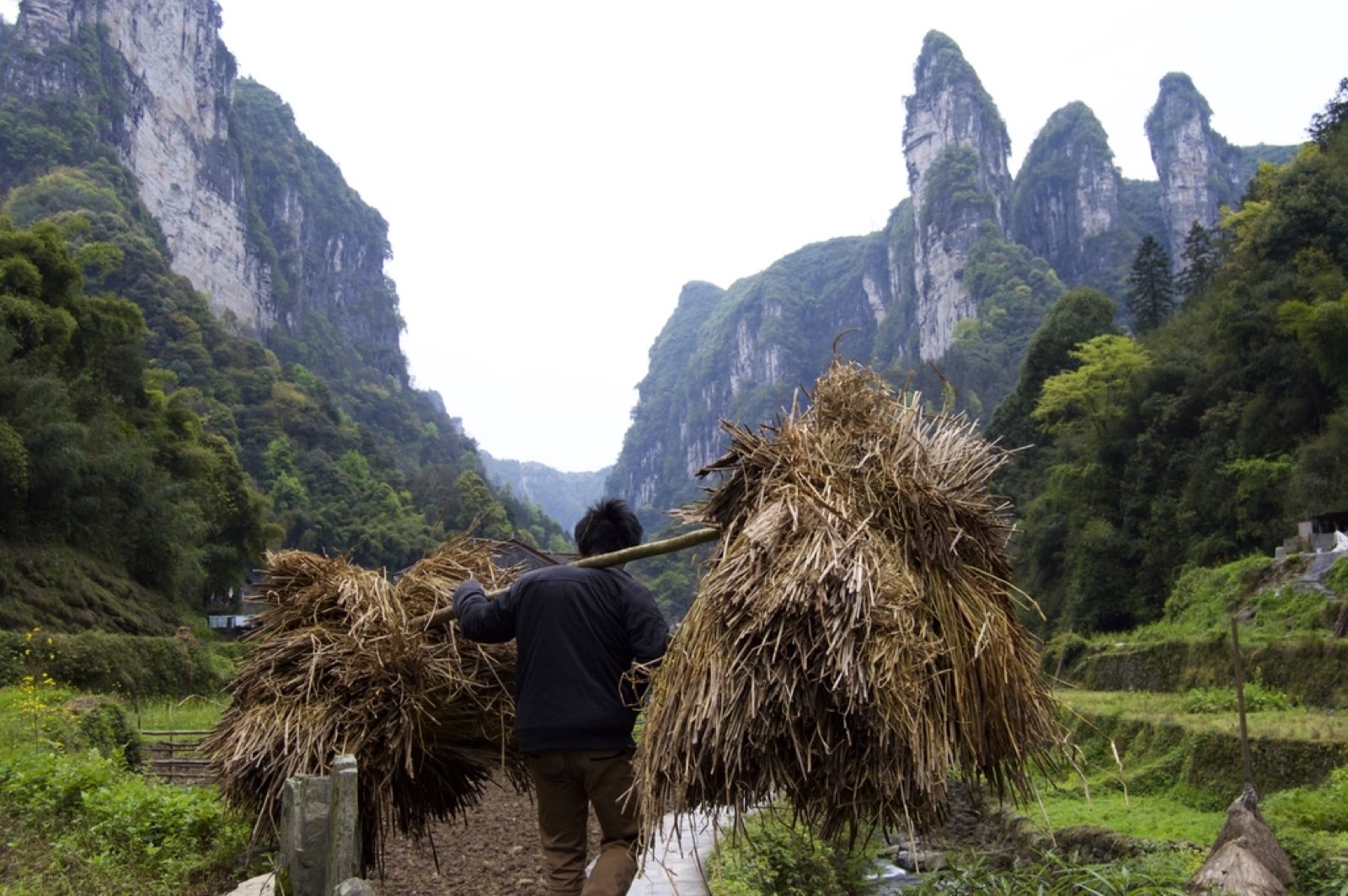Farmers carrying straw in the mountains