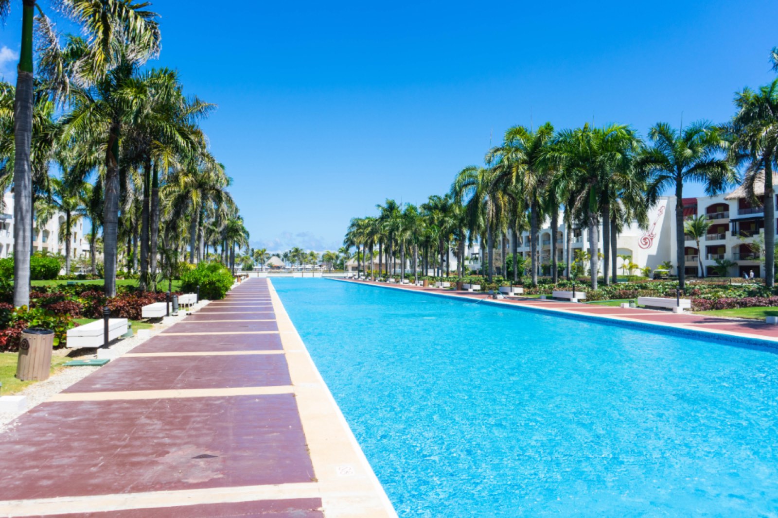 A hotel pool lined with palm trees